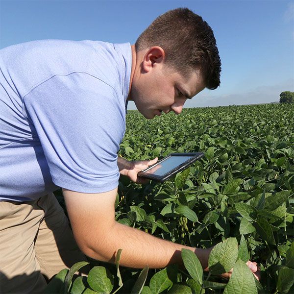 Farm Manager Jobs in Saudi Arabia